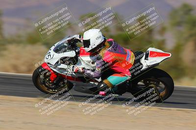 media/Nov-12-2023-SoCal Trackdays (Sun) [[5d1fba4e7d]]/Turn 3 Inside Speed Pans (135pm)/